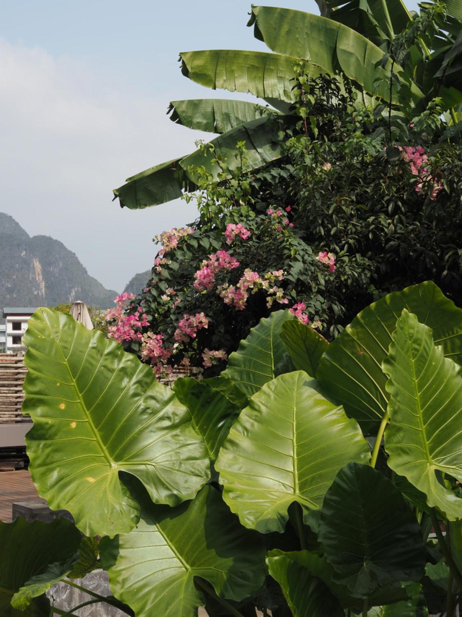 Yangshuo Hillside Homestay エクステリア 写真