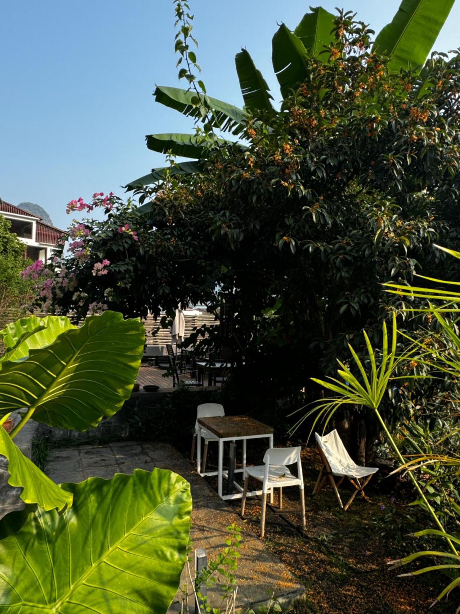 Yangshuo Hillside Homestay エクステリア 写真