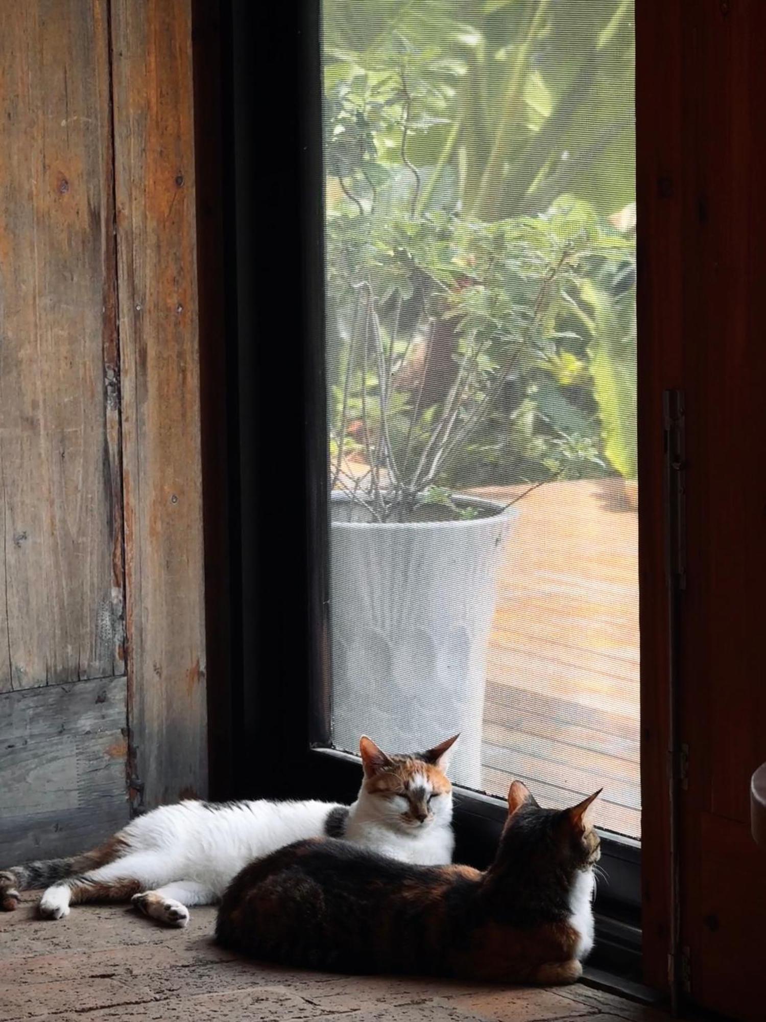Yangshuo Hillside Homestay エクステリア 写真