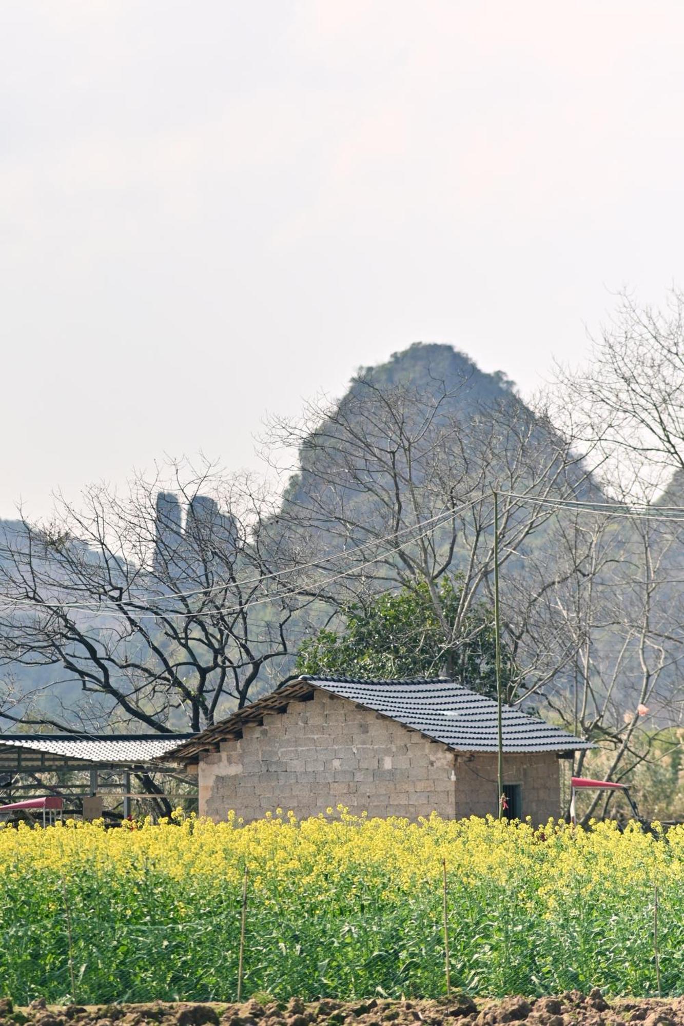 Yangshuo Hillside Homestay エクステリア 写真
